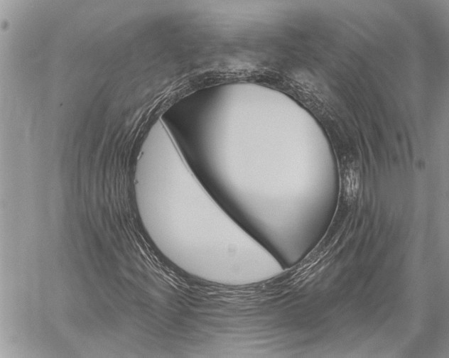 X0000060241204200510280904