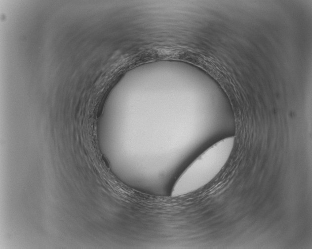 X0000060241249200510280904