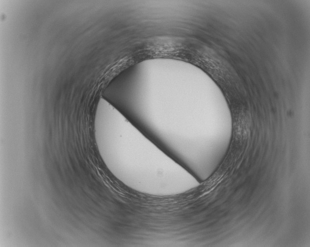 X0000060241346200510280903