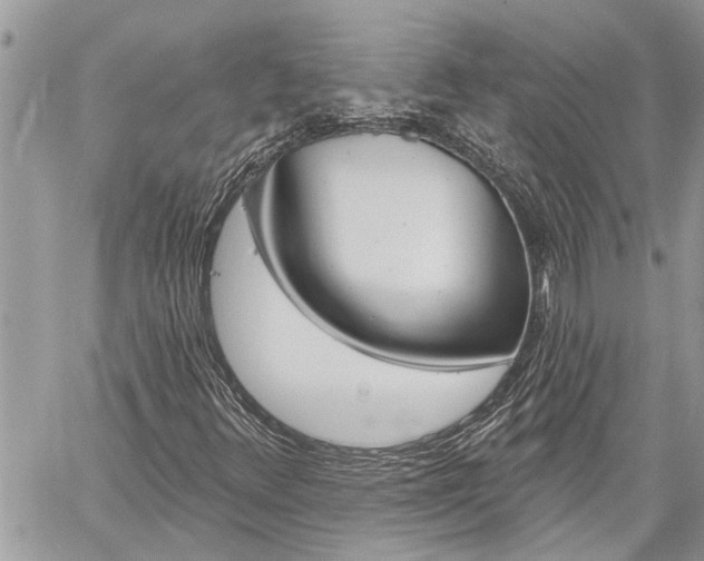 X0000060241348200510280903
