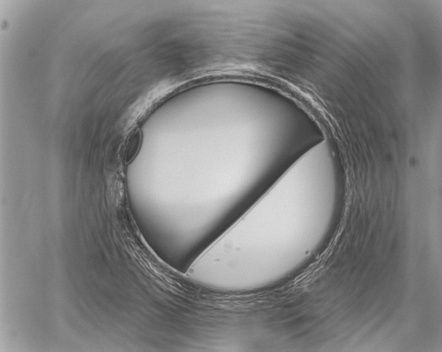 X0000060241363200510280902