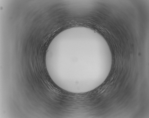 X0000060241394200510280901