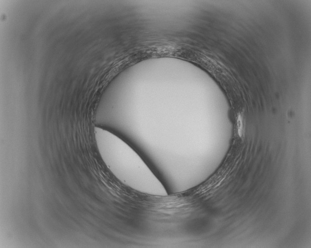 X0000060241395200510280901