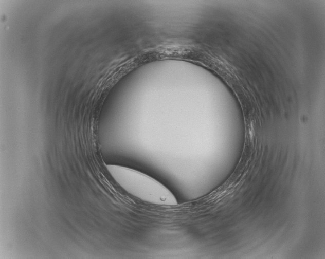 X0000060241396200510280901