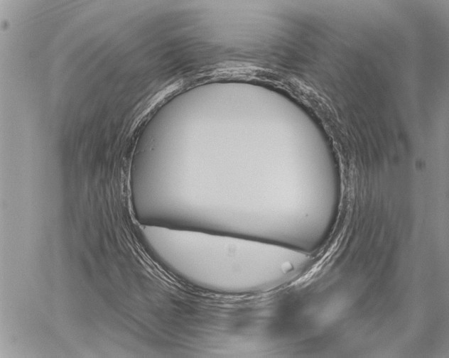 X0000060241401200510280901