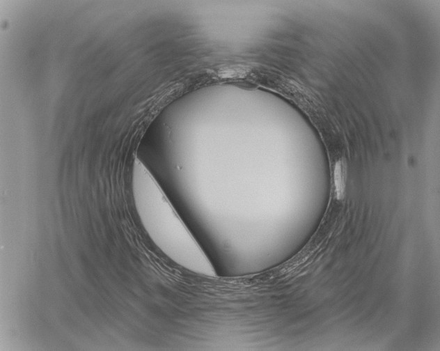 X0000060241443200510280901