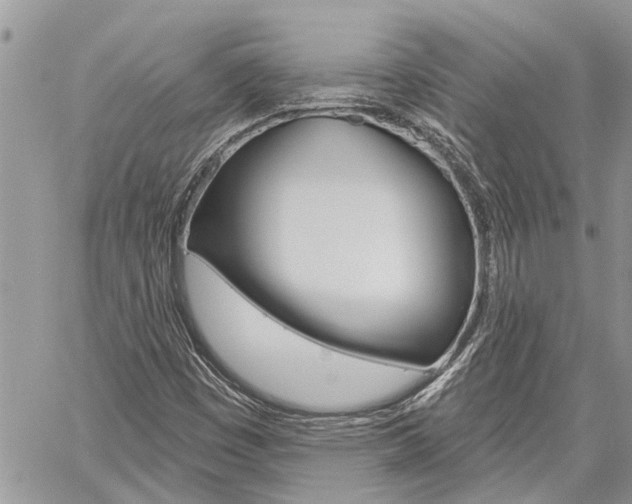 X0000060241449200510280901