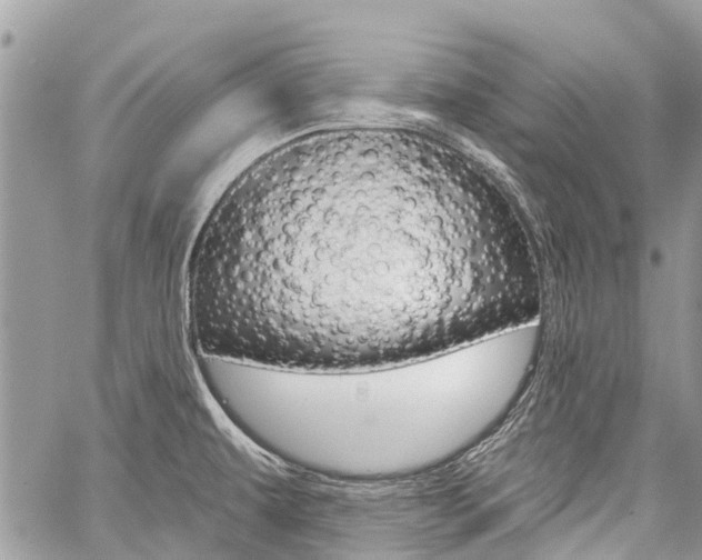 X0000060241479200510280901