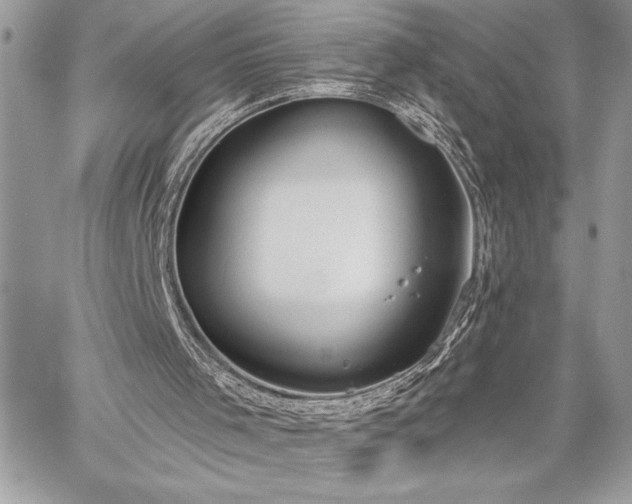 X0000060240001200510281131