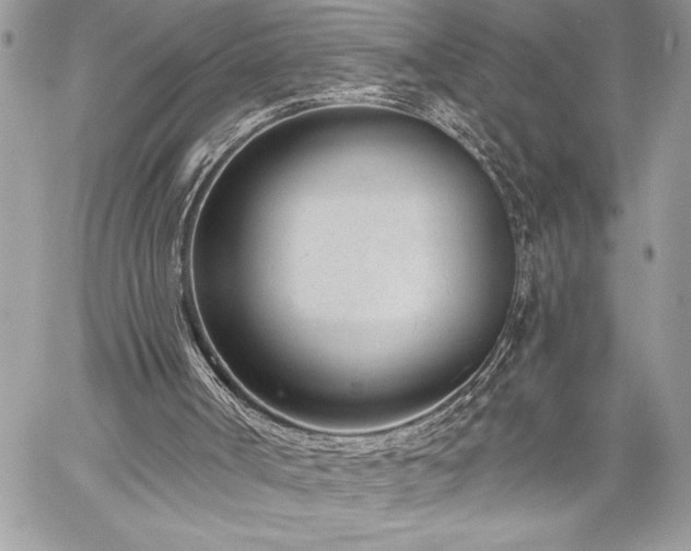 X0000060240002200510281131