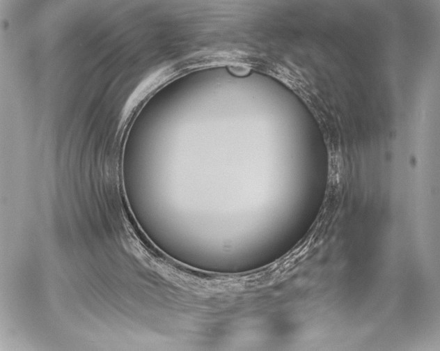 X0000060240004200510281131