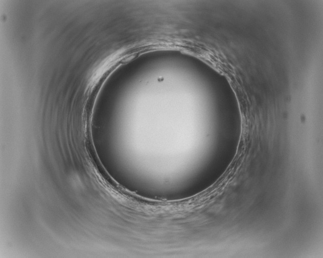 X0000060240005200510281131