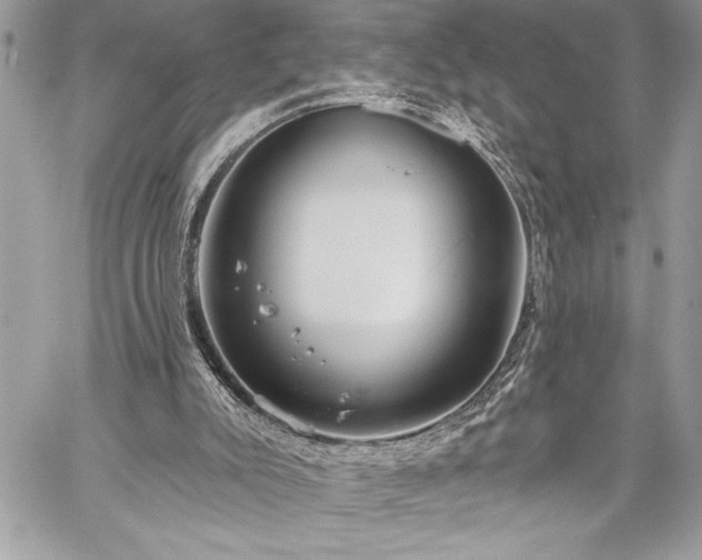 X0000060240007200510281131