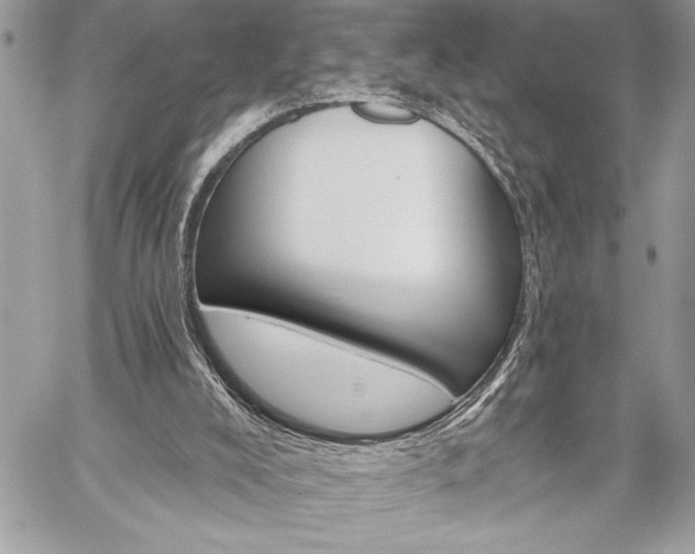 X0000060240008200510281131