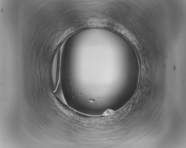 X0000060240009200510281131