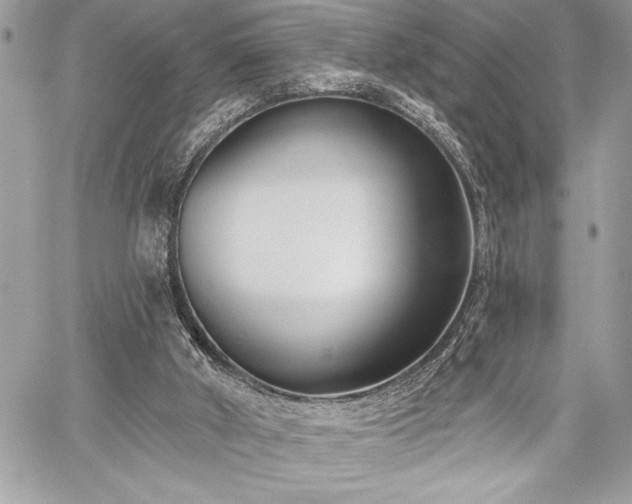 X0000060240010200510281131