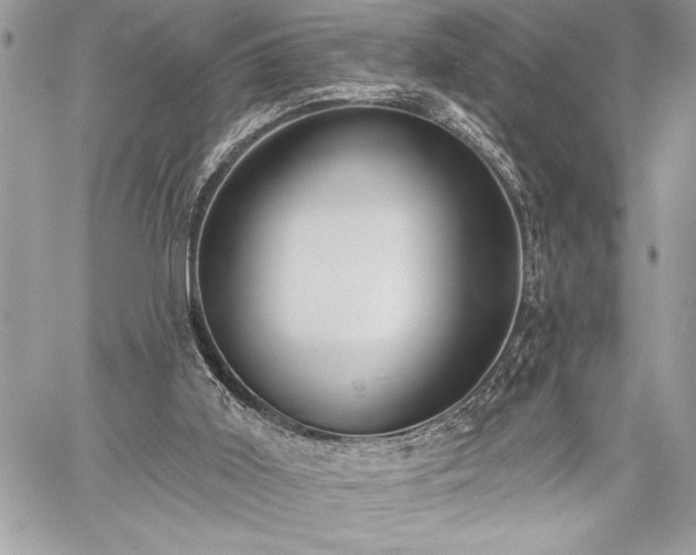 X0000060240011200510281131