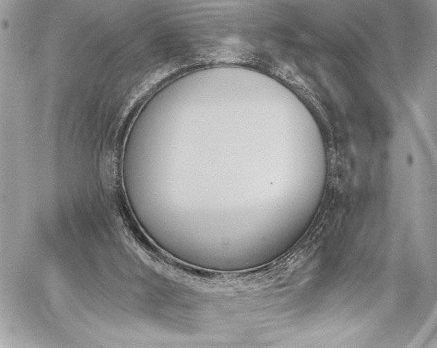 X0000060240012200510281131