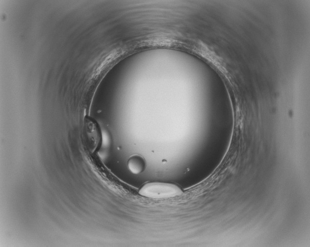 X0000060240013200510281131