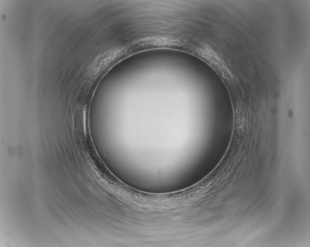 X0000060240014200510281131