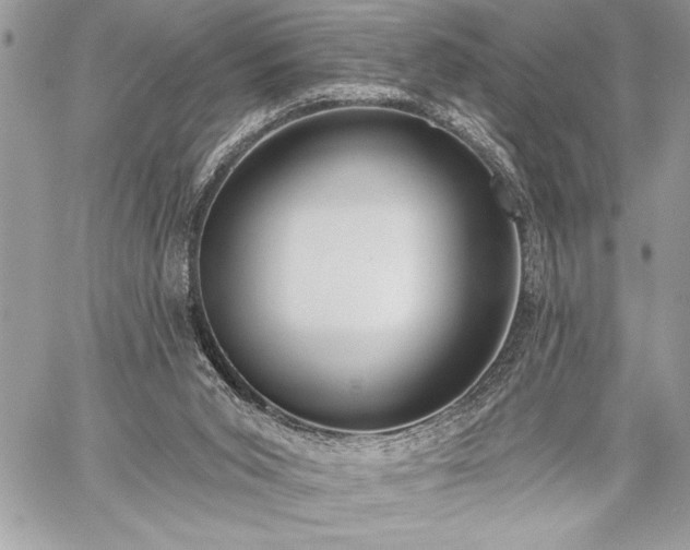 X0000060240015200510281130