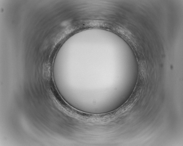 X0000060240016200510281130