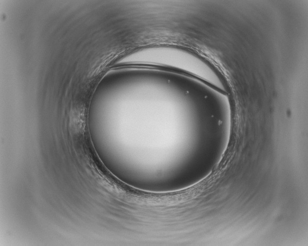 X0000060240017200510281130