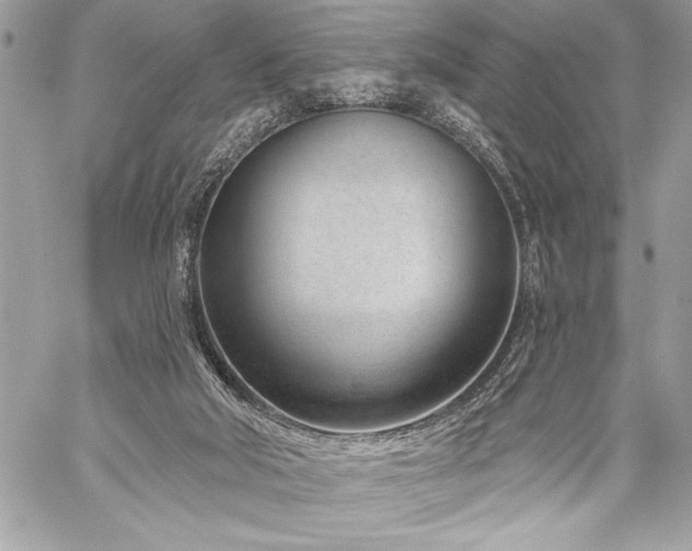 X0000060240018200510281130