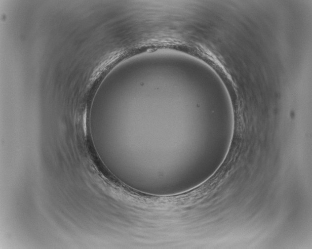 X0000060240019200510281130