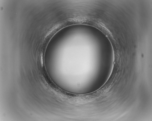 X0000060240020200510281130