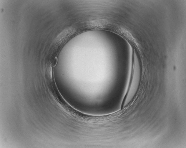 X0000060240021200510281130