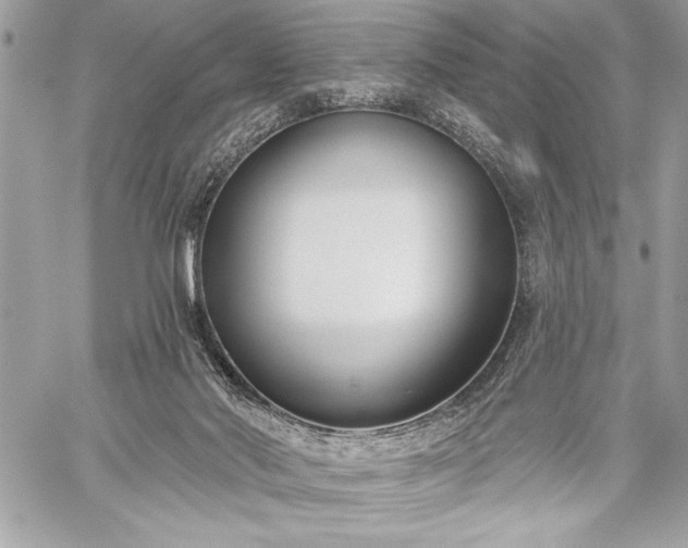 X0000060240022200510281130