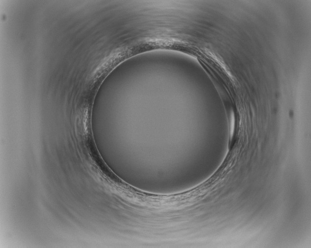 X0000060240023200510281130