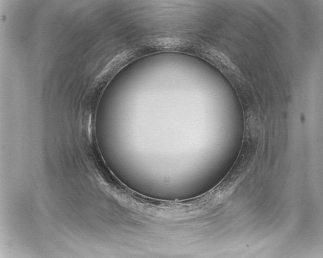 X0000060240024200510281130