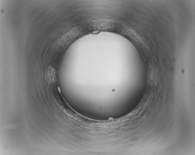 X0000060240025200510281130