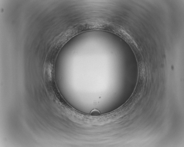 X0000060240026200510281130