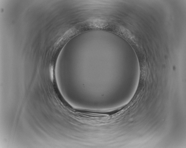 X0000060240027200510281130