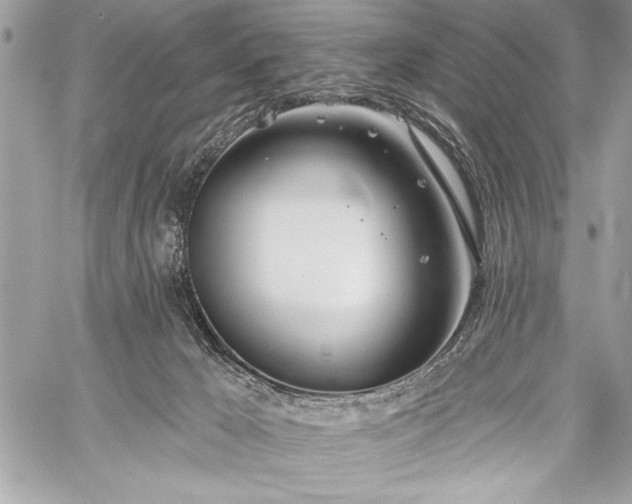 X0000060240029200510281130