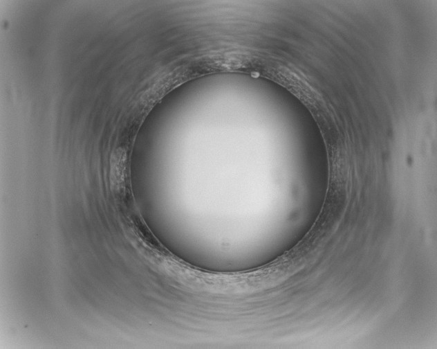 X0000060240030200510281130