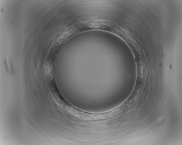 X0000060240031200510281130