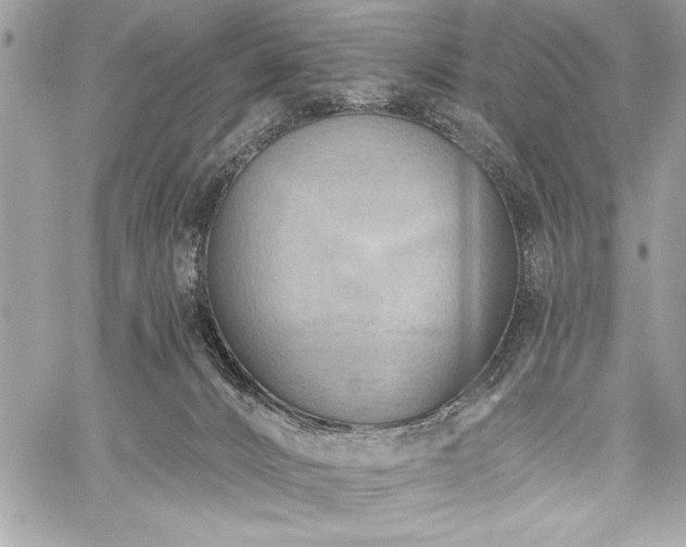 X0000060240032200510281130