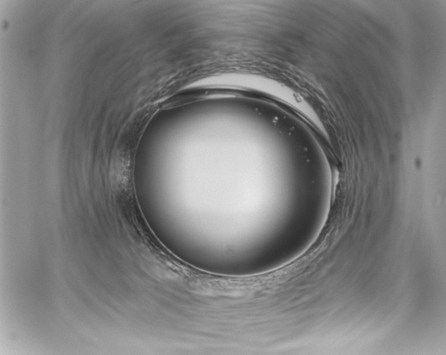 X0000060240033200510281130