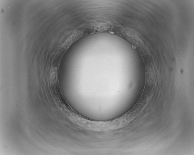 X0000060240034200510281130