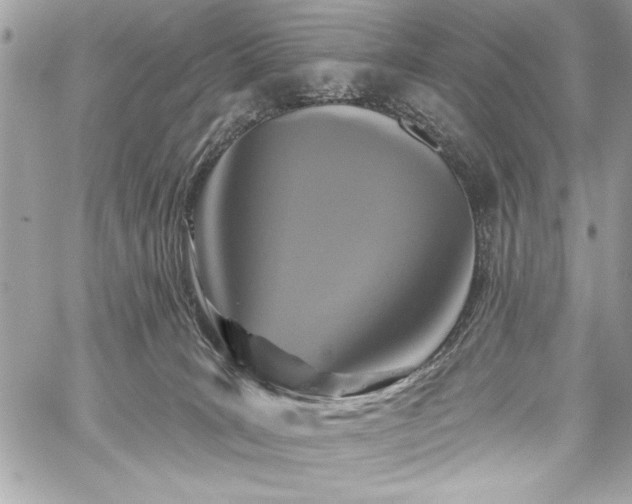 X0000060240035200510281130