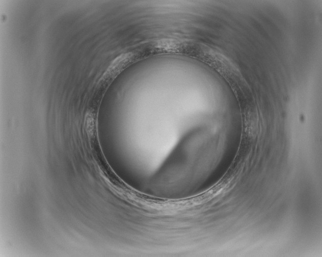 X0000060240036200510281130