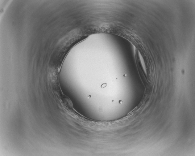 X0000060240037200510281130