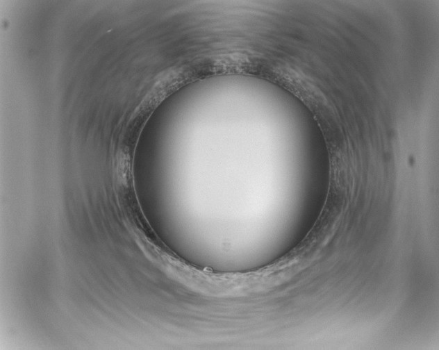 X0000060240038200510281130