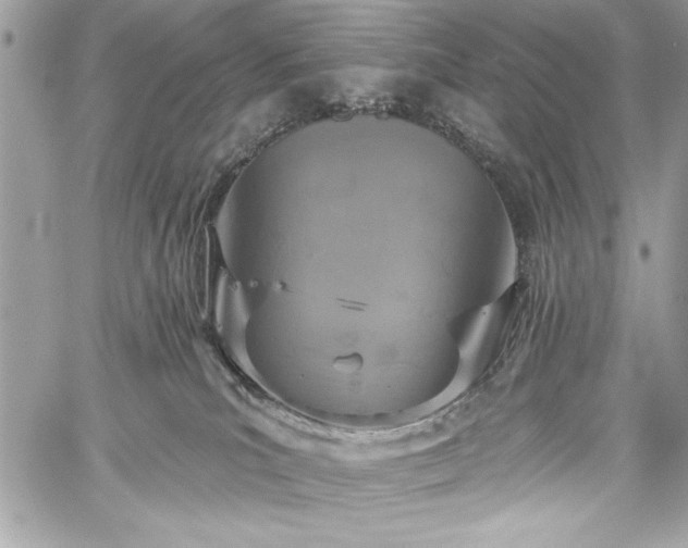 X0000060240039200510281130