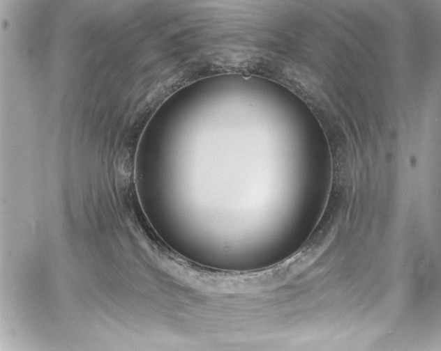 X0000060240040200510281130