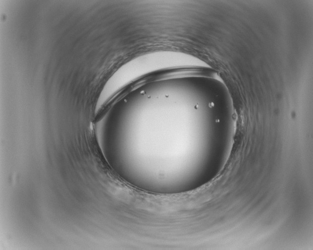 X0000060240041200510281130